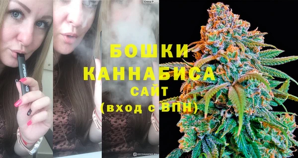 шишки Богородицк