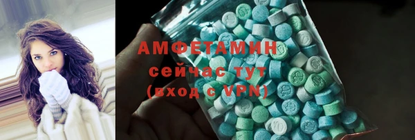 шишки Богородицк