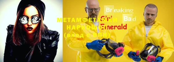 шишки Богородицк