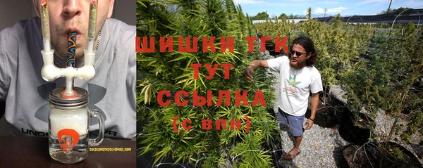 шишки Богородицк