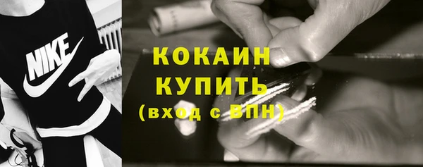 ГАЛЛЮЦИНОГЕННЫЕ ГРИБЫ Богданович