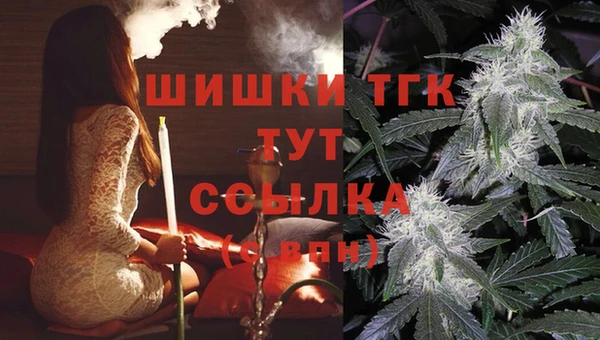 шишки Богородицк