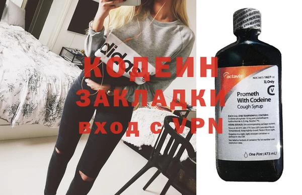 шишки Богородицк