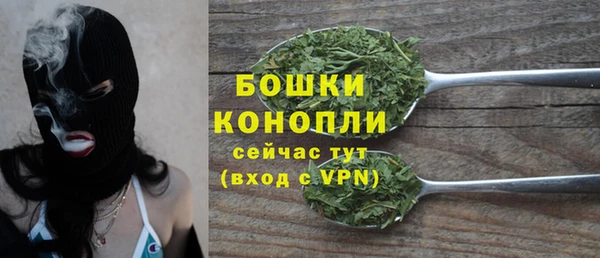 шишки Богородицк