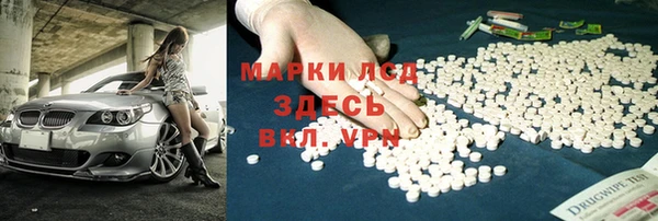 шишки Богородицк