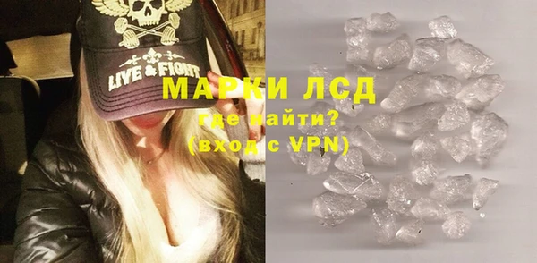 ГАЛЛЮЦИНОГЕННЫЕ ГРИБЫ Богданович