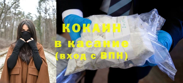 ГАЛЛЮЦИНОГЕННЫЕ ГРИБЫ Богданович