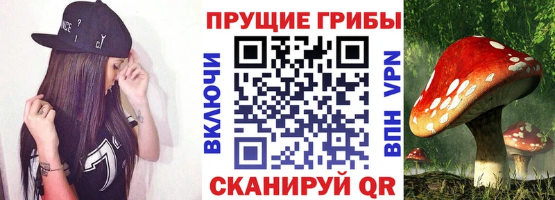 Псилоцибиновые грибы ЛСД купить наркотики сайты Наро-Фоминск